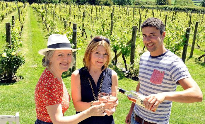 Our Welsh Food and Drink Safari invites you to enjoy some traditional Welsh food and visit a Welsh vineyard/Gin distillery or enjoy a Slade Farm Safar